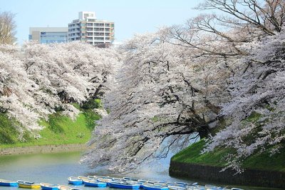 🏞️ 치도리 공원(치도리 코엔)